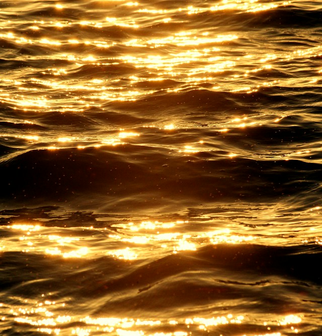 Golden light on rippling water