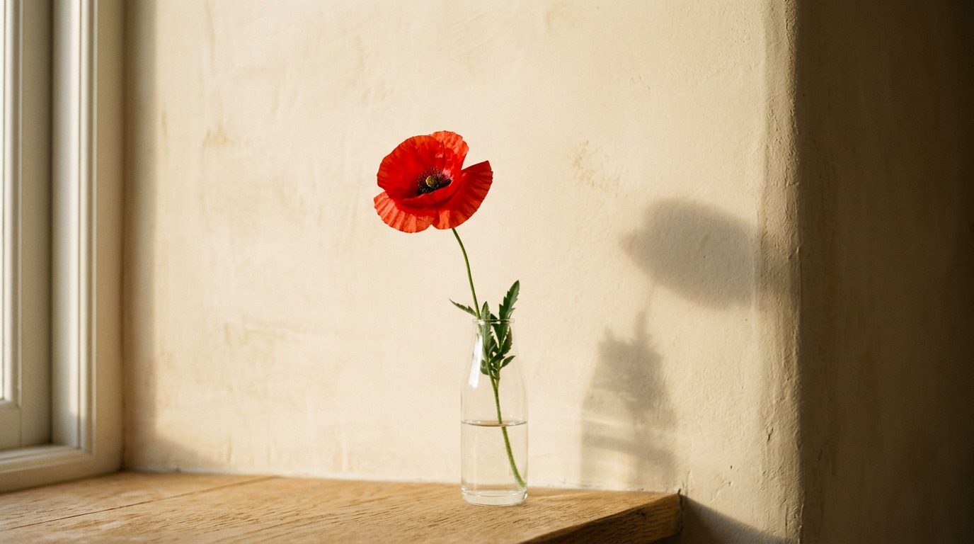 Single red poppy in a slim glass vase